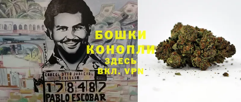 мега ссылка  магазин продажи наркотиков  Белорецк  МАРИХУАНА планчик 